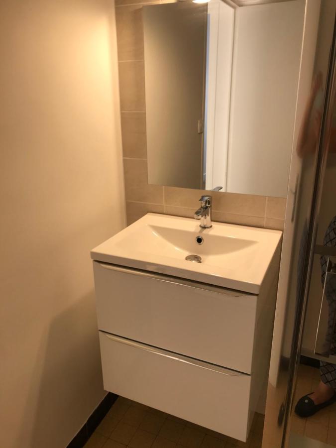 Grenoble Joli Appartement Eksteriør bilde